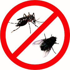 Dịch vụ diệt ruồi - Công Ty Cổ Phần Thương Mại Và Dịch Vụ Quốc Phong